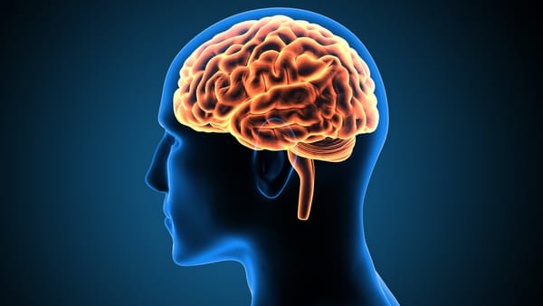 No Cure for Mental Illness?