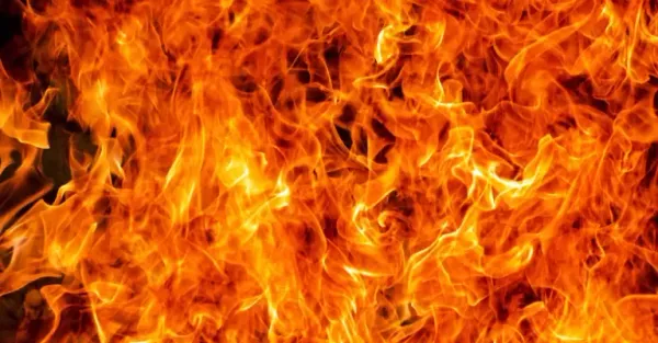 "I Am In the Flames! Pull Me Out, Pull Me Out!"