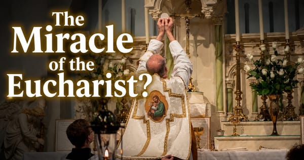 The Miracle of the Eucharist?