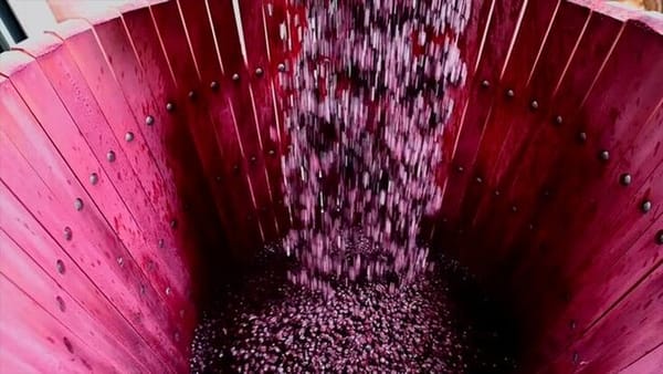 "The Winepress" - Rev. 19:15